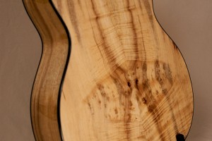 Monarch 12 String, Myrtle wood with Spalted Maple Rosette